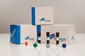 NGS-набір для виявлення генетичних маркерів раку ендометрію – truNGS® Endometrial Cancer Panel Kit - Емпіріка